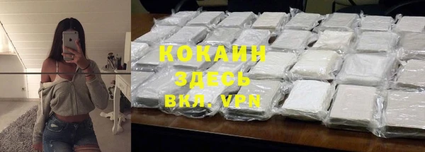 эйфоретик Богданович