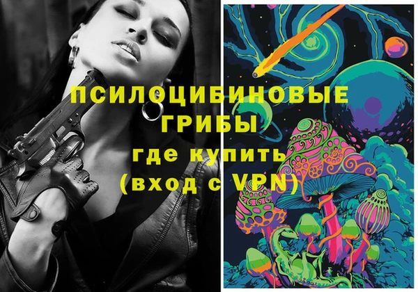 соль курить ск Белокуриха